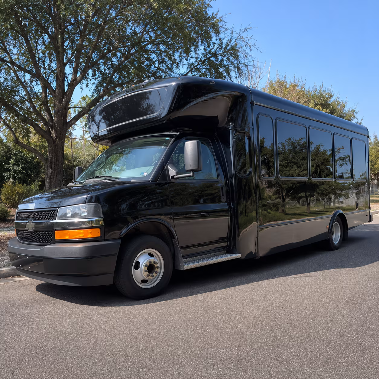 Frisco Birthday, Sweet 16, & Quinceañera Party Bus Rentals