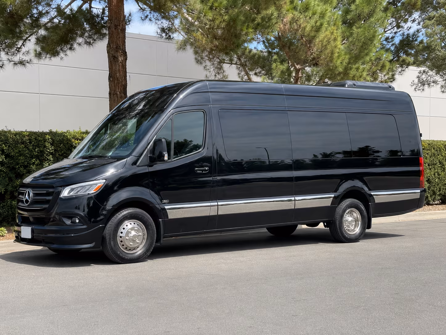 14 Passenger Sprinter Limo