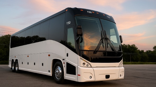 frisco bachelor and bachelorette party bus rentals