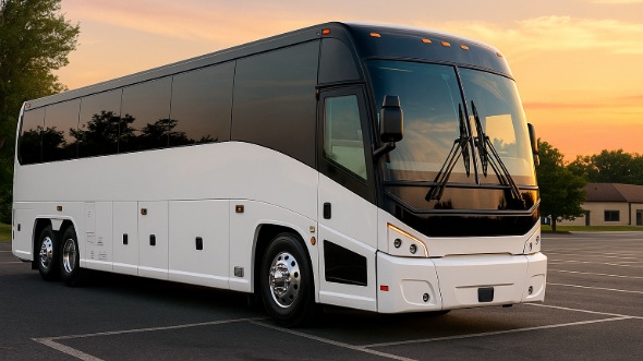 plano bachelor and bachelorette party bus rentals